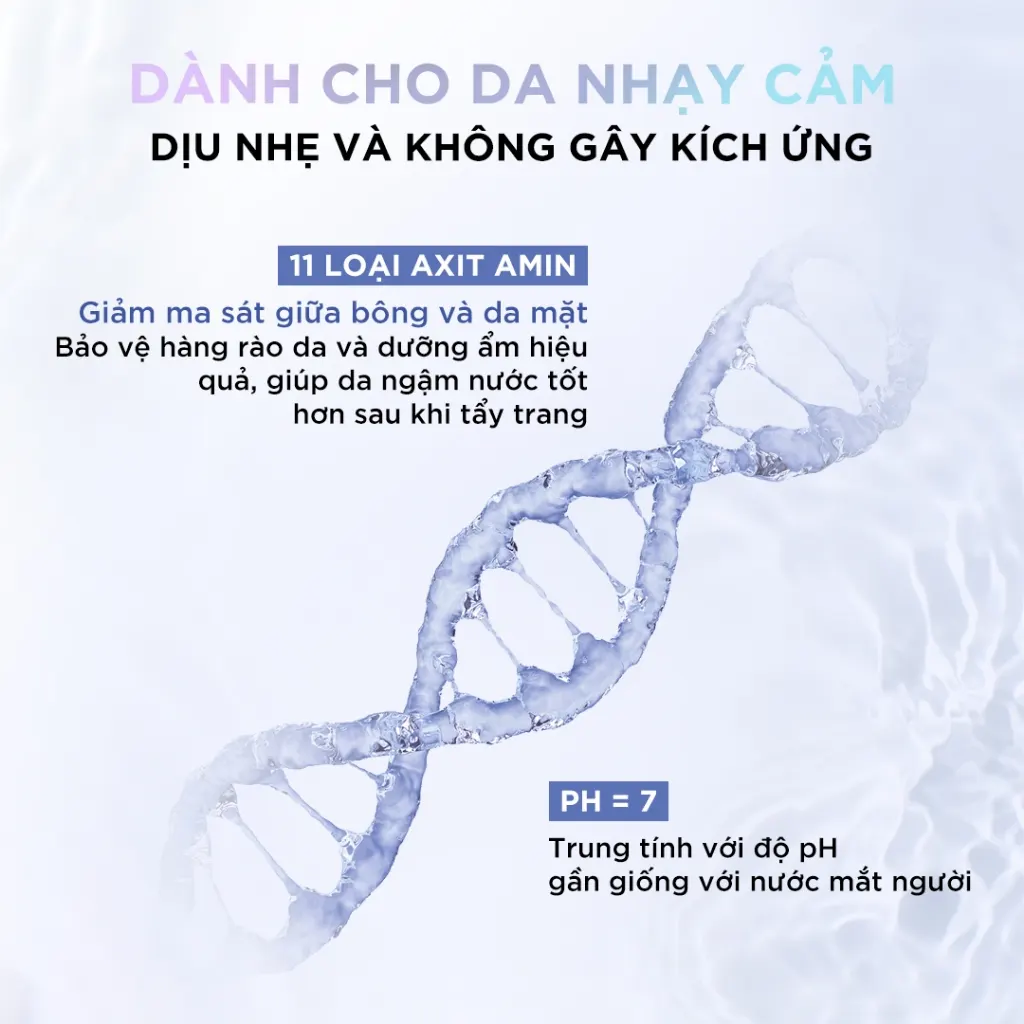 Ảnh 7