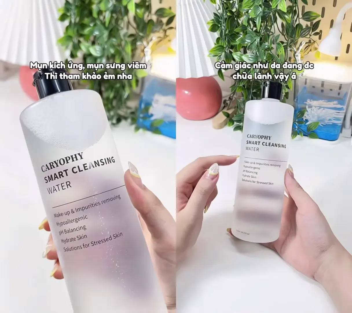 Nuoc Tay Trang Caryophy Reviewskincare Skincare Makeup