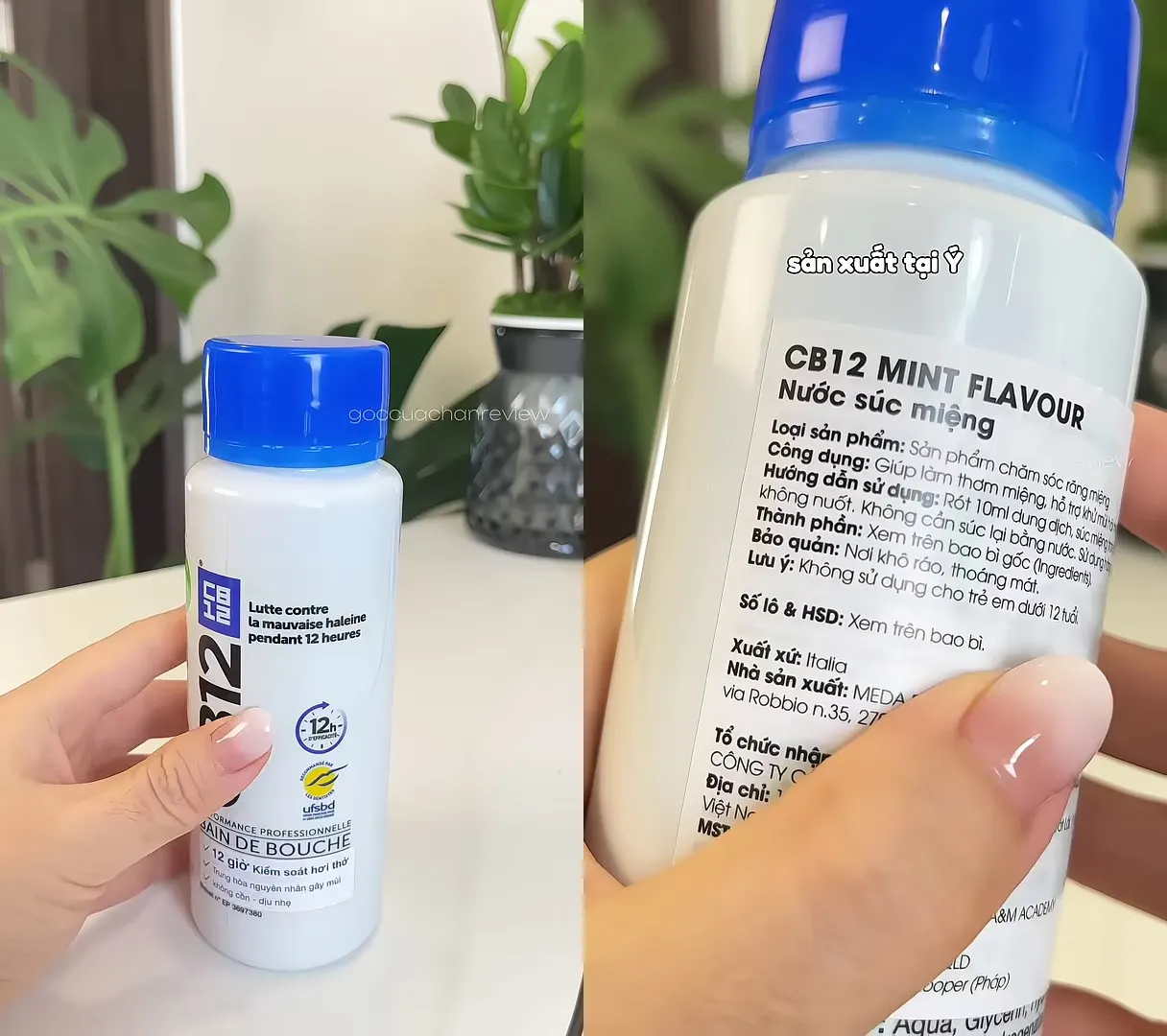 Nước Súc Miệng Kiểm Soát Hơi Thở 12H CB12 Mint Hương Bạc Hà 250ml