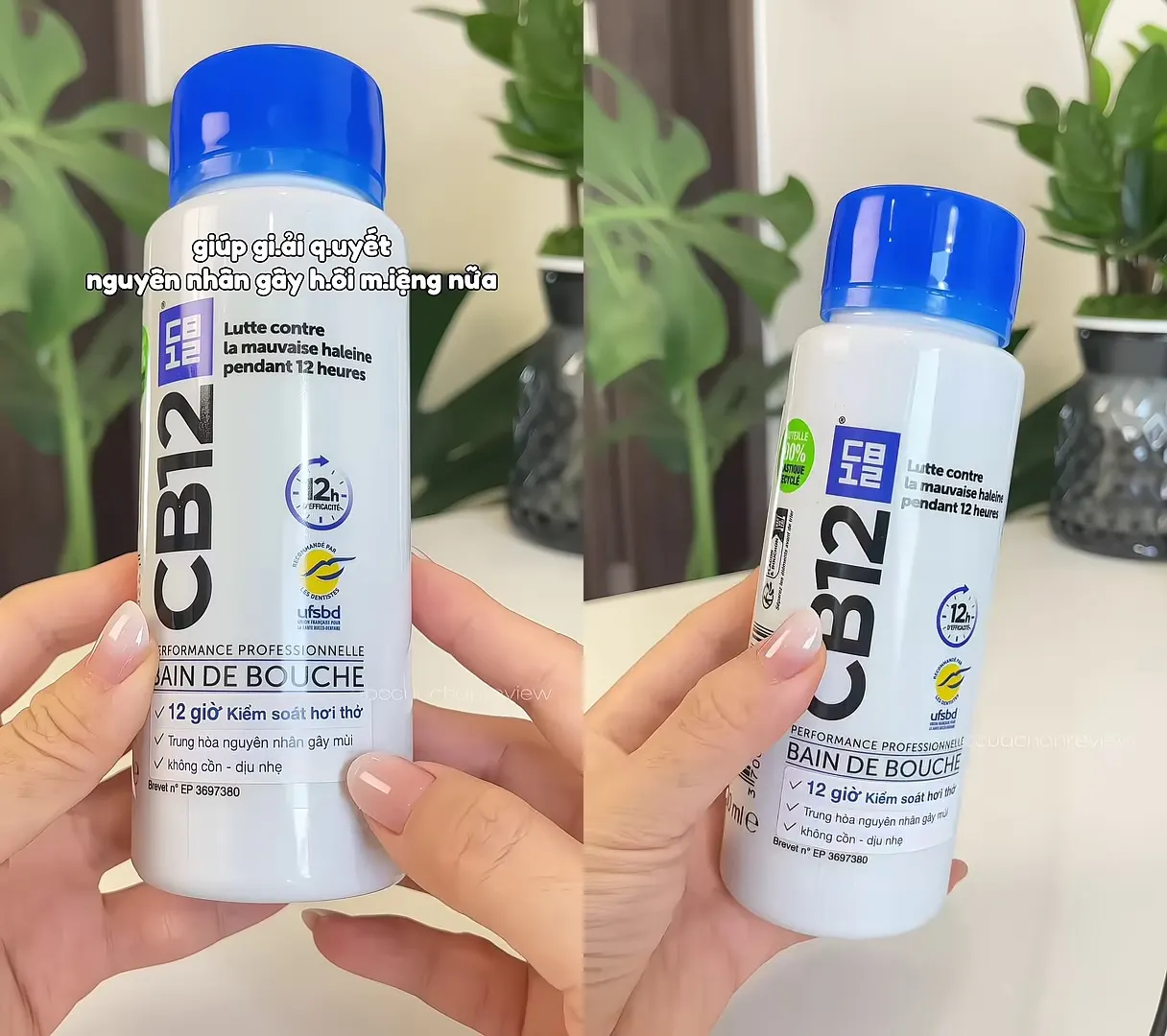 Nước Súc Miệng Kiểm Soát Hơi Thở 12H CB12 Mint Hương Bạc Hà 250ml